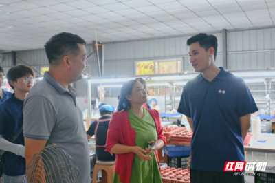 合拍的00后·三下鄉(xiāng) | 巖園村的“玩具經(jīng)緯” 一針一線，織就鄉(xiāng)村振興的溫暖圖景